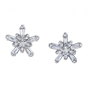 BVLA 14k White Gold Mini Nova